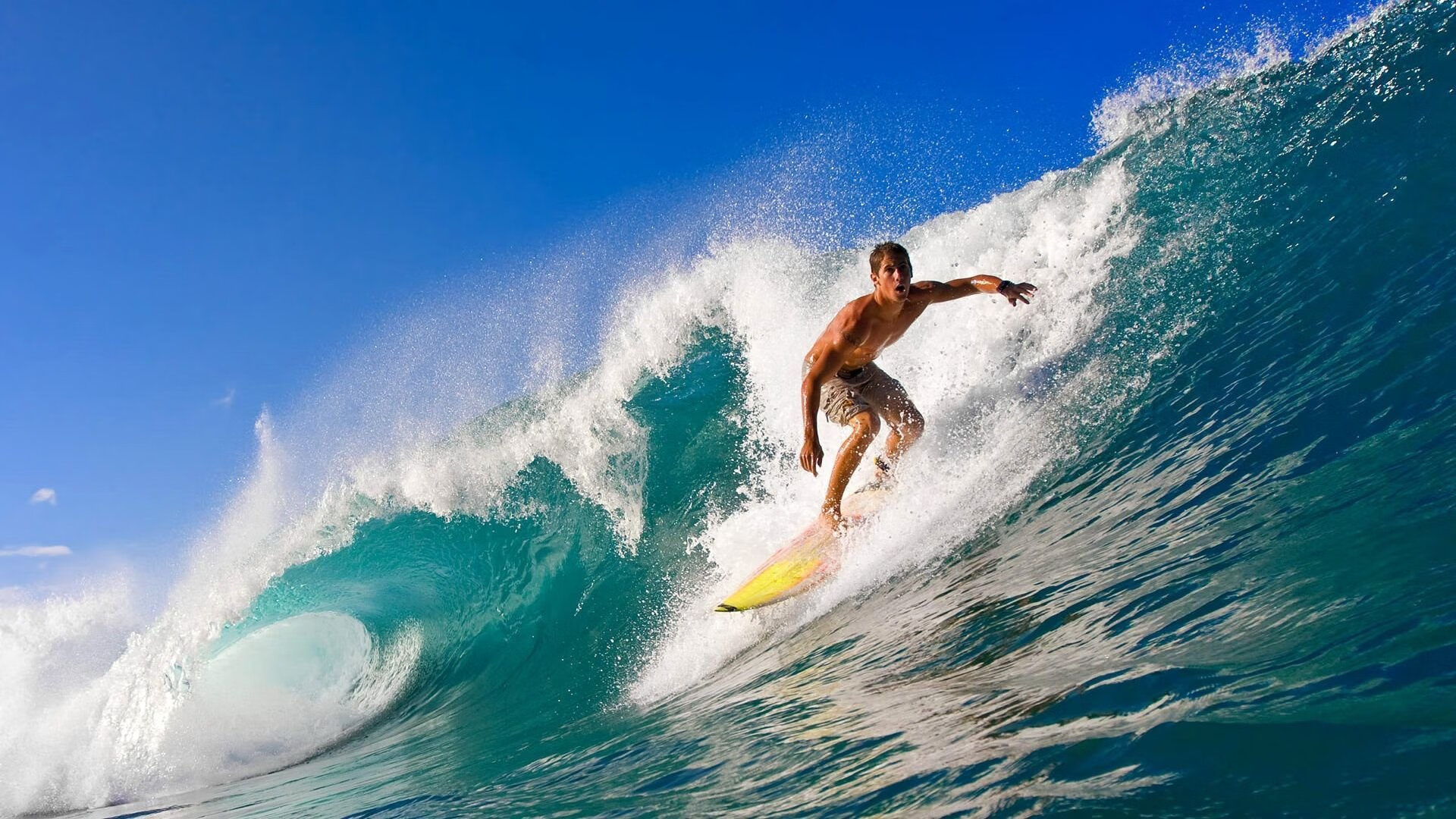 比赛精彩回顾：所有高光瞬间点亮赛场！，年度高光时刻